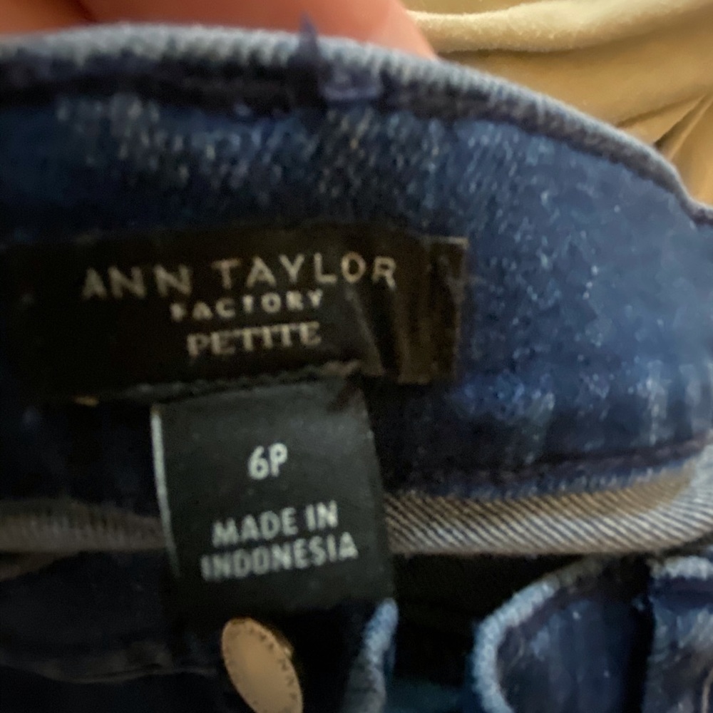 Ann Taylor Crop Pants